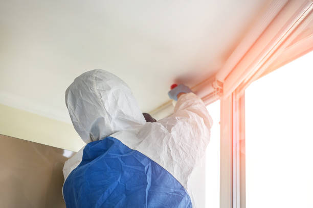 Why You Should Choose Our Mold Remediation Services in Galena, OH